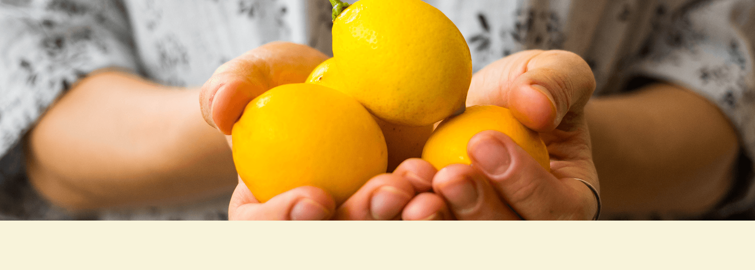 Kategorie-Banner_1920x688px_SAUER Kategorie-Banner_1920x688px_SAUER