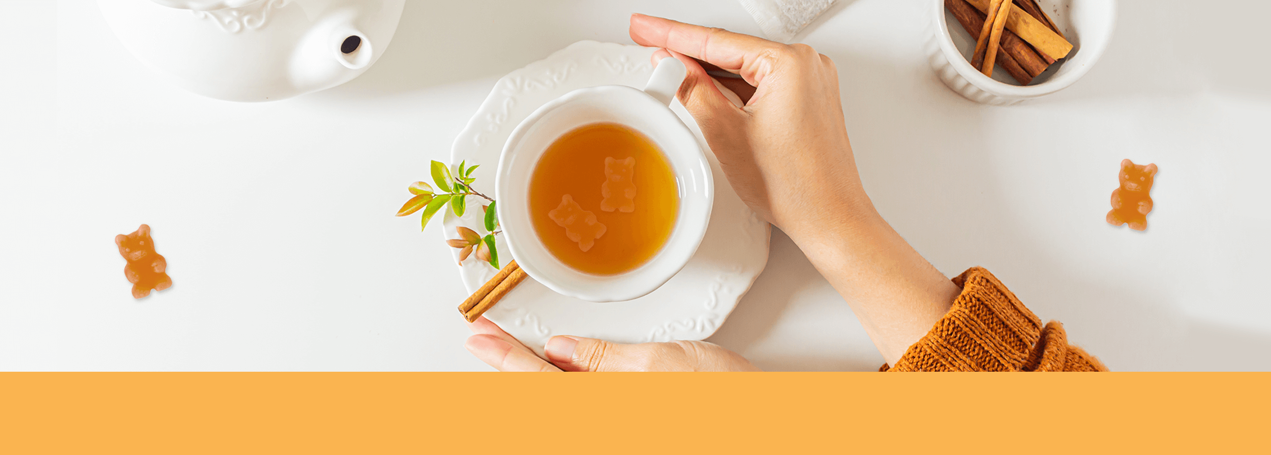 Kategorie-Banner_1920x688px_TEE-BEAREN Kategorie-Banner_1920x688px_TEE-BEAREN