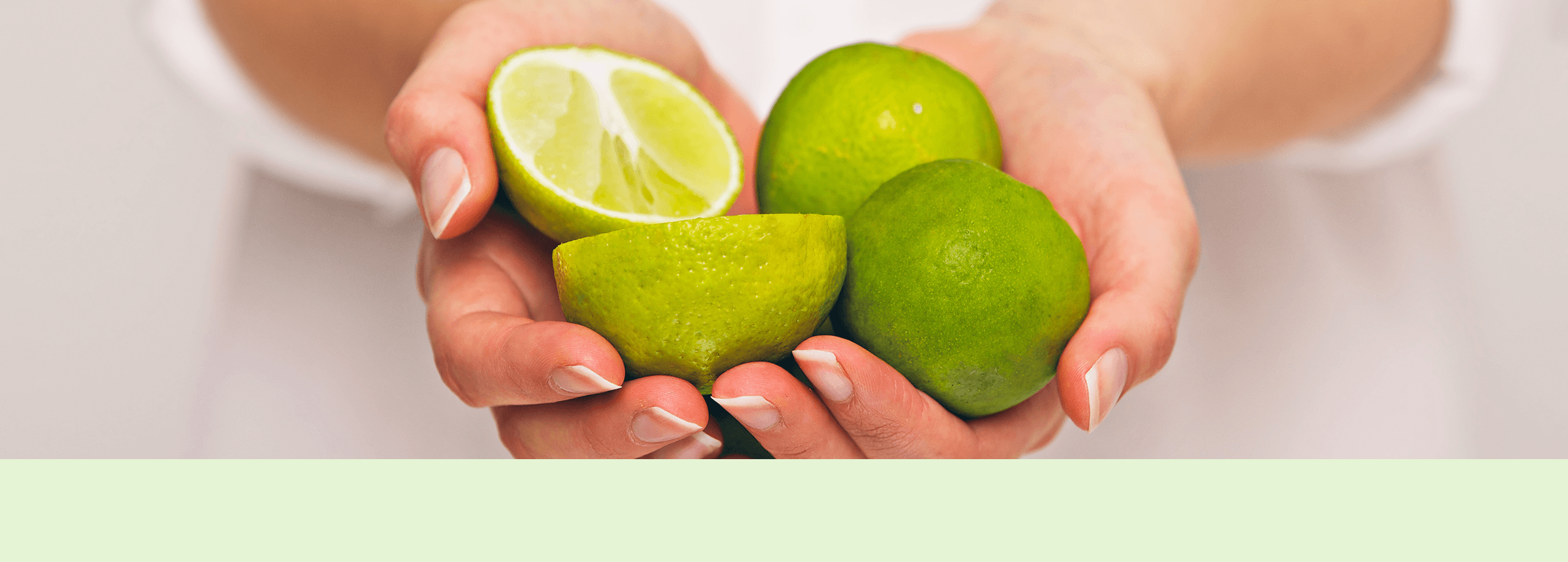 Kategorie-Banner_1920x688px_VEGAN Kategorie-Banner_1920x688px_VEGAN