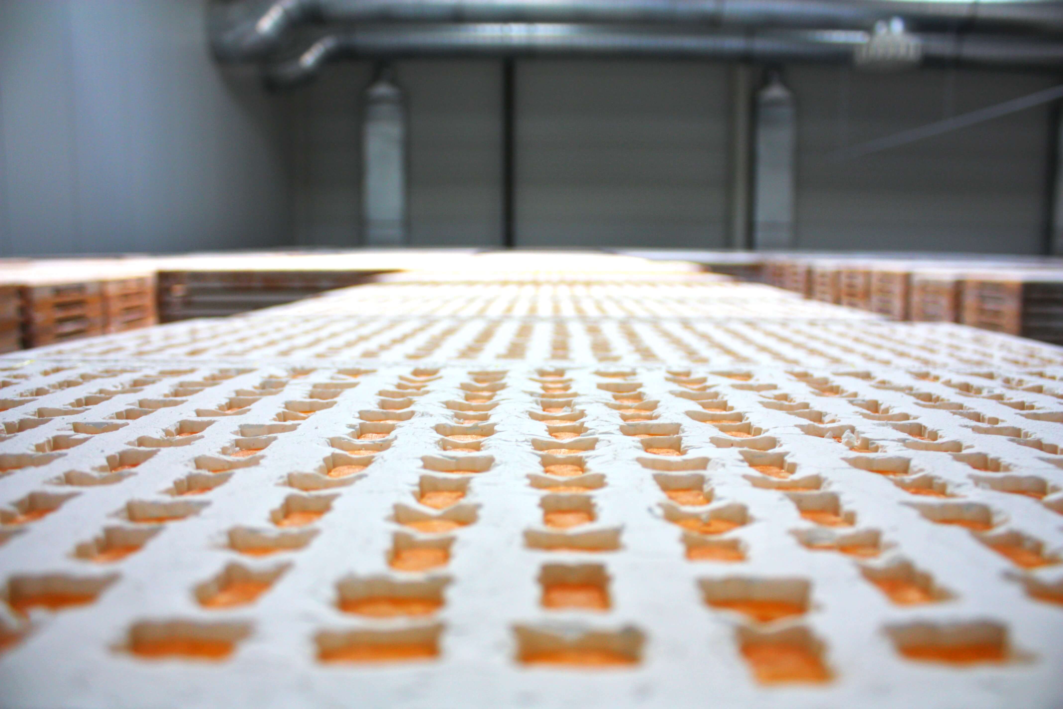 Fruchtgummi Trocknung Fruchtgummi Trocknung